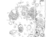 Dowth North, Orthostat C19