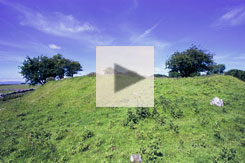 Michael Casey Video