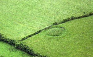 ringfort