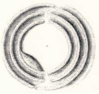 ring fort