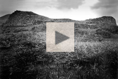 Paddy O'Shea video