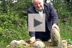 Harold Johnston video